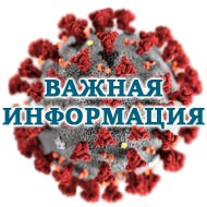 «Горячая линия» для граждан Воронежа и области, официальные интернет-ресурсы по вопросам коронавируса
